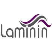 لامینین
